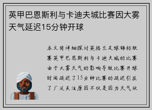 英甲巴恩斯利与卡迪夫城比赛因大雾天气延迟15分钟开球 英甲巴恩斯利与卡迪夫城比赛因大雾天气延迟15分钟开球